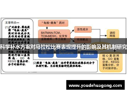 科学补水方案对马拉松比赛表现提升的影响及其机制研究