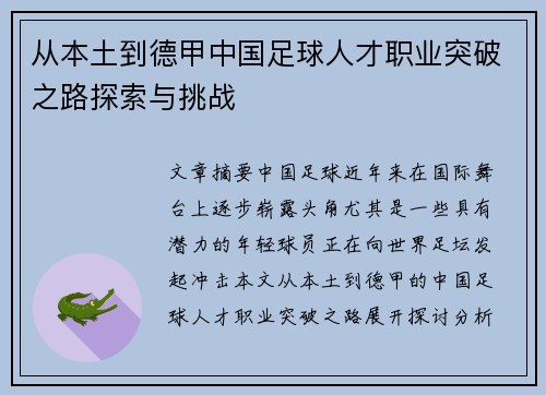 从本土到德甲中国足球人才职业突破之路探索与挑战